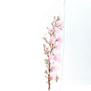 Sakura Long Sleeve
